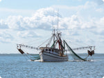 shrimping boat in the gulf of mexico