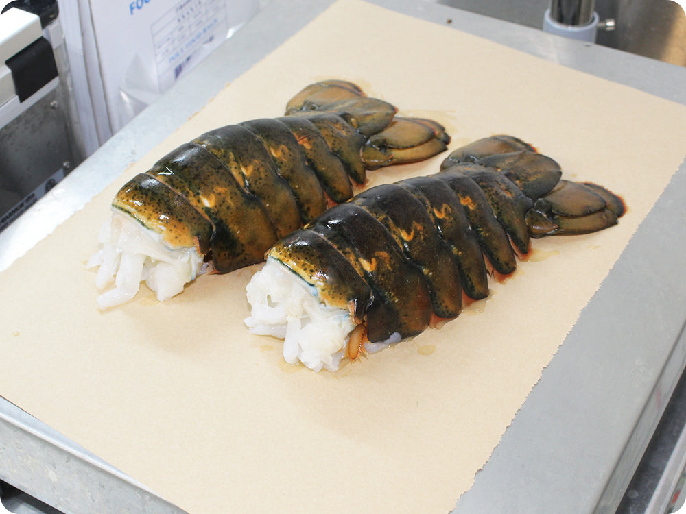 North Atlantic Lobster Tails (Large) by the pound