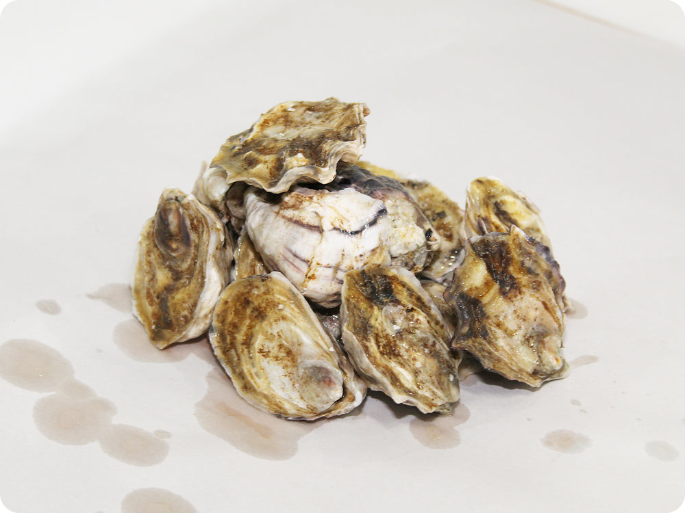 Oishi Oysters by the dozen