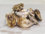 Oishi Oysters by the dozen