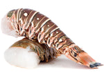 Two plump Caribbean lobster tails with brown and orange colors, white dots, and black stripes.