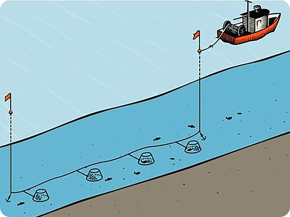 An illustration of a longline fishing vessel used to catch Sablefish.