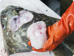 The cheek of a wild Halibut being removed.