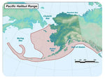pacific halibut range map