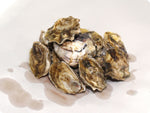 Kumamoto Oysters by the dozen