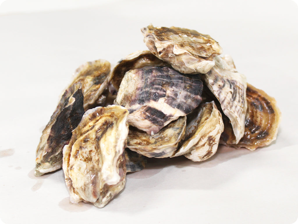 Kumamoto Oysters by the dozen Origin Catch