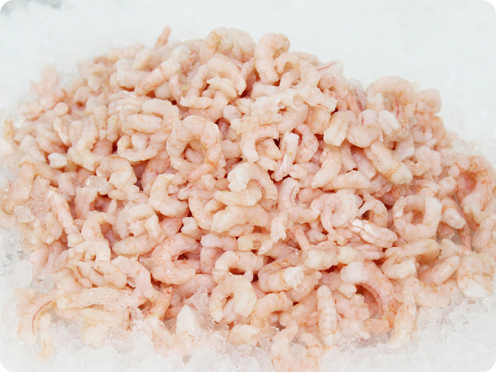 Oregon Pink Shrimp by the pound