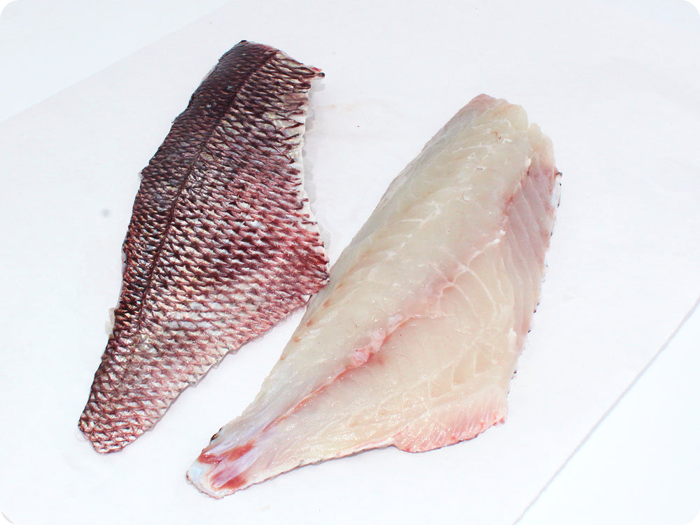 Red Snapper Fillet (fresh, wild) by the pound