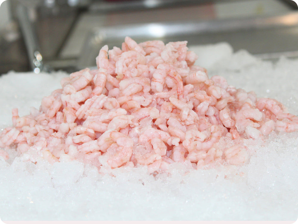 Northern Shrimp (Canada) by the pound