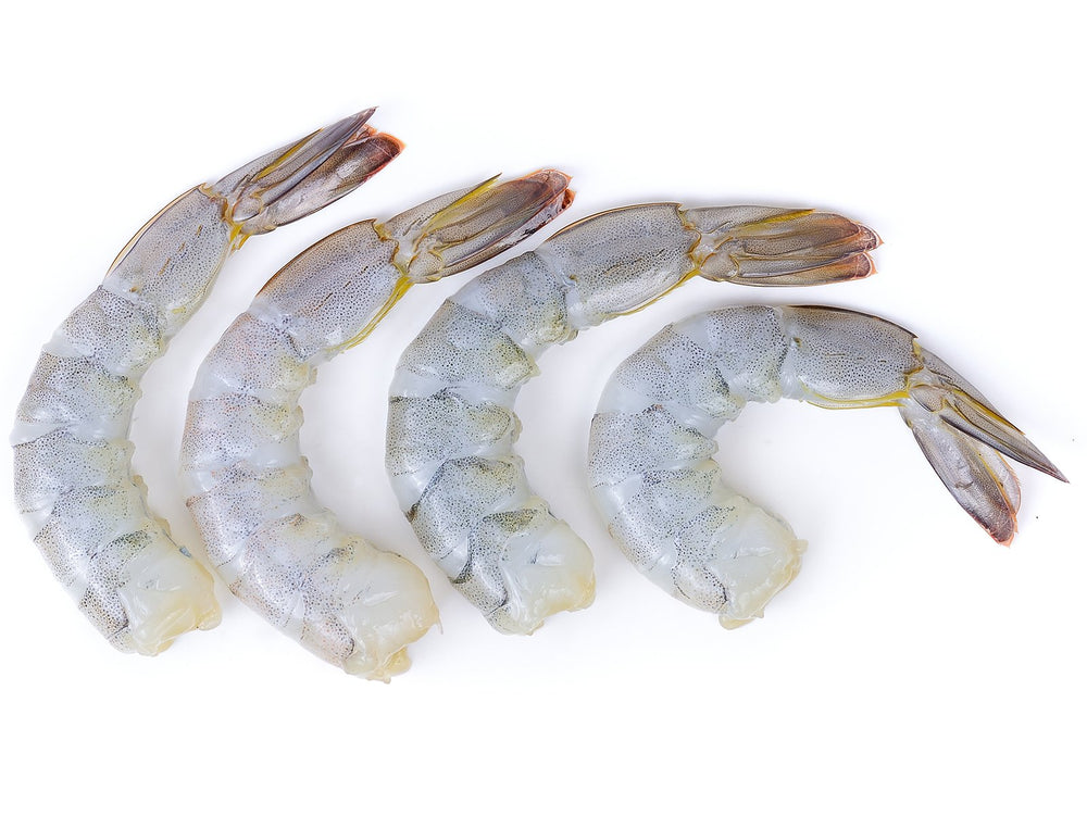 White Shrimp (XL, Shell-Off) by the pound
