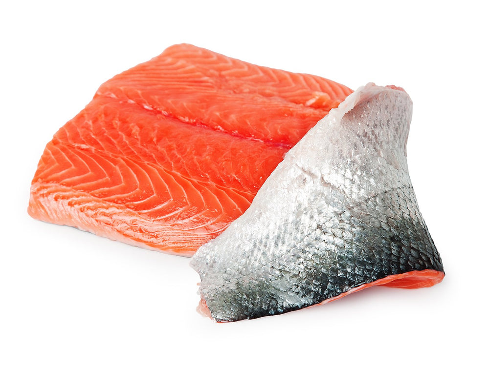 Wild King Salmon Fillet (Fresh) by the pound