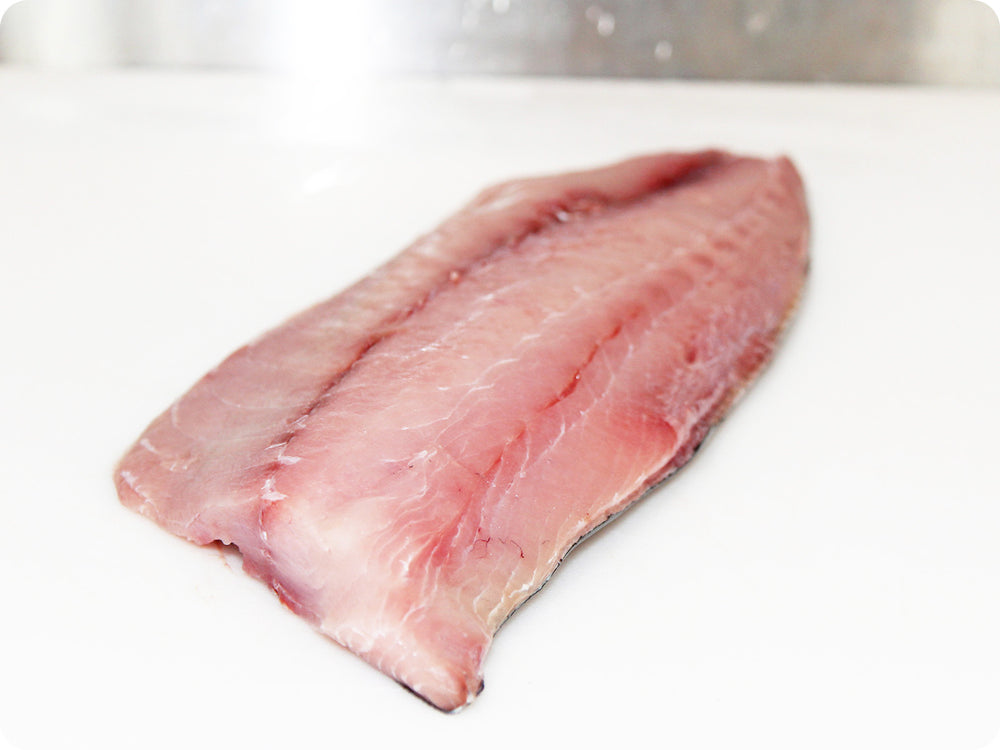 Yellowtail Amberjack Fillet (fresh, wild) by the pound