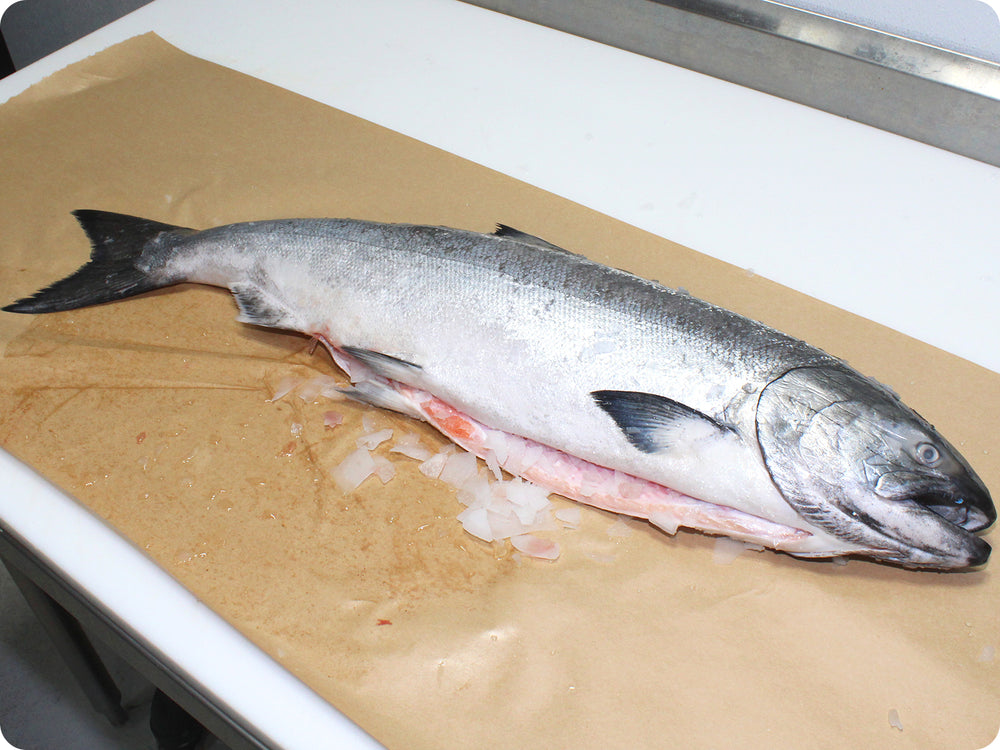 Whole Wild King Salmon (fresh, h/on) by the pound