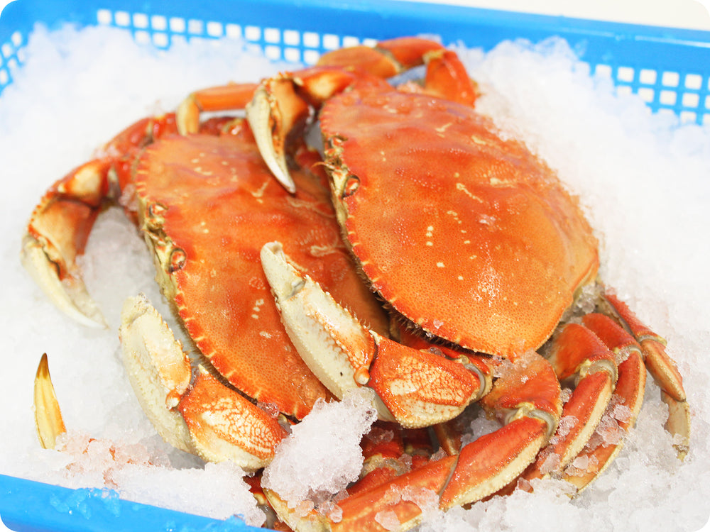 Fresh Whole-Cooked Dungeness Crab by the 2-pound crab