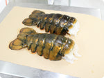 North Atlantic Lobster Tails (Large) by the pound