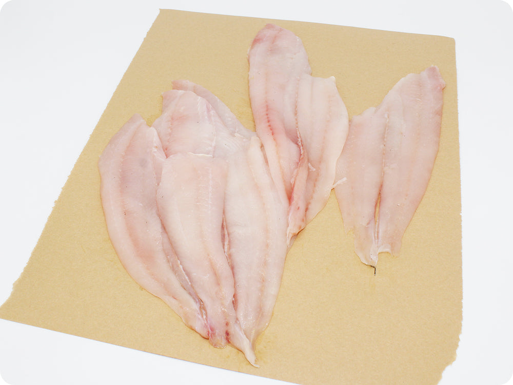 Petrale Sole Fillet (fresh, wild) by the pound