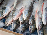 Whole wild Sockeye salmon stacked on ice