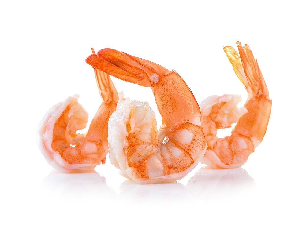 Plump, white shrimp with head shells removed. The cooked Tiger Shrimp have a beautiful orange speckling when removed from their red shell.
