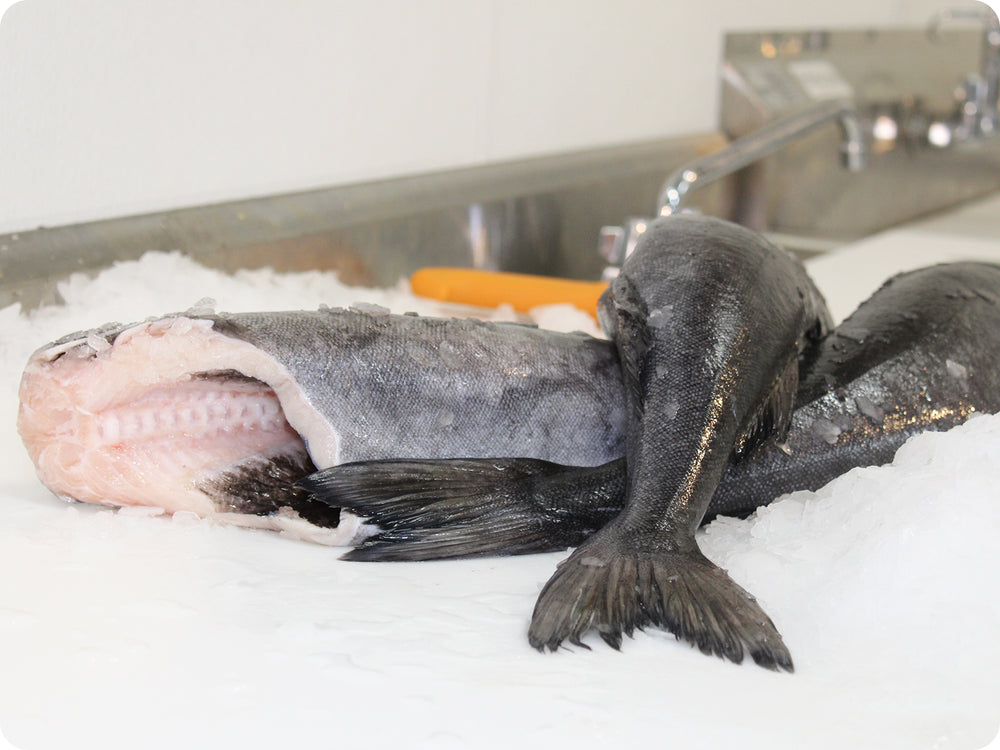 Black Cod Fillet (fresh, wild) by the pound