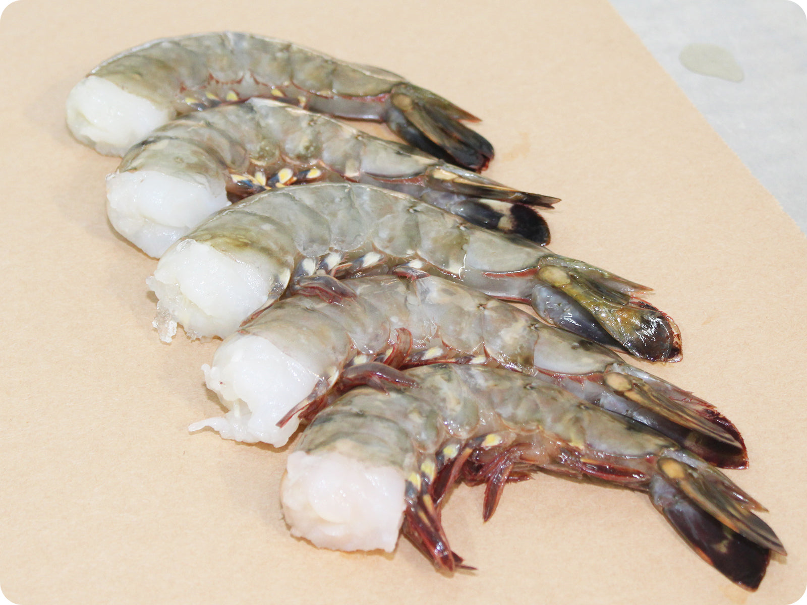 Tiger Prawn tiger-prawn