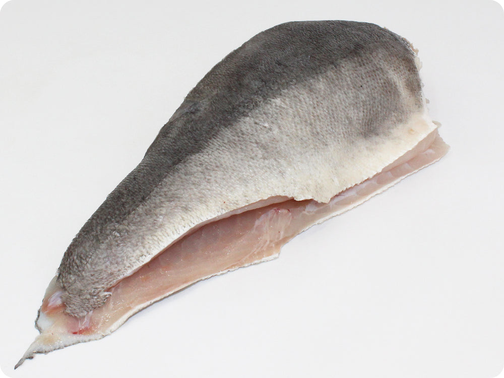 Black Grouper Fillet (fresh, wild) by the pound