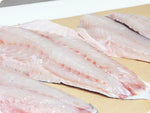 Black Grouper Fillet (fresh, wild) by the pound