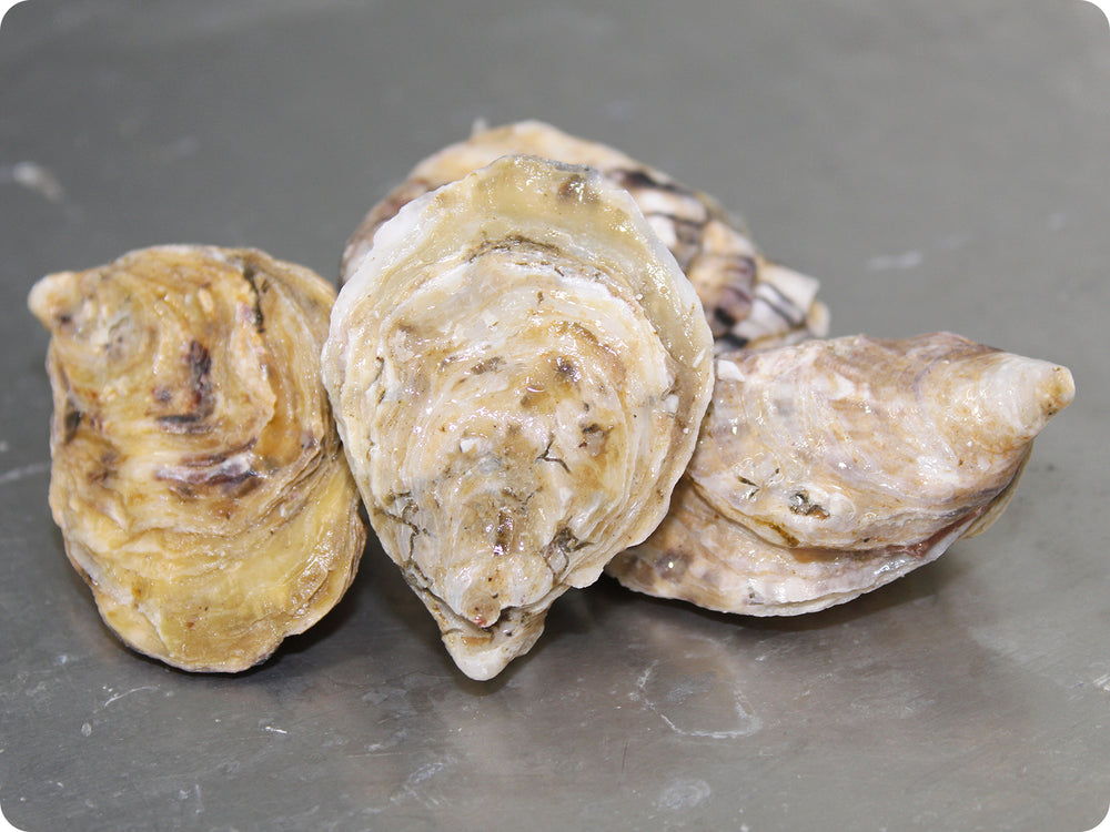 Kusshi Oysters by the dozen