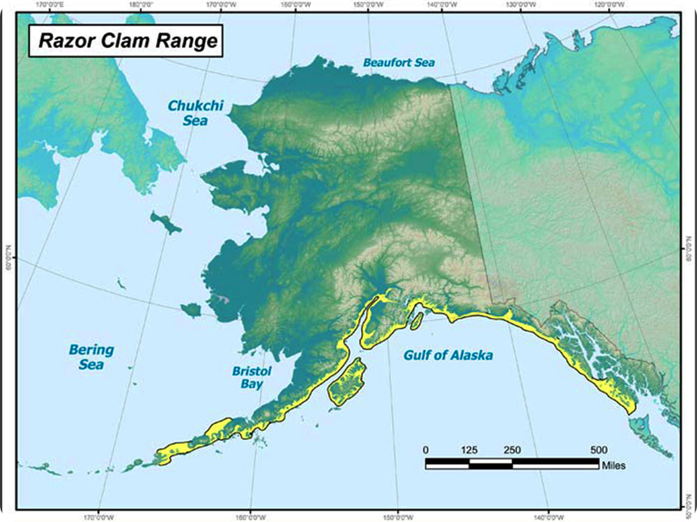 A map of the Alaskan coastline all the way North towards Bristol Bay, where Razor Clams are harvested.