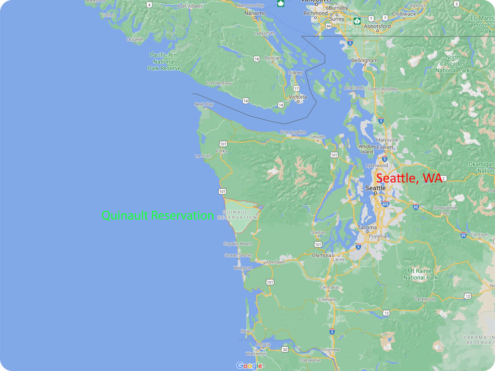 A map of the Washington Coastline, highlighting the Quinault Reservation where Pacific Razor clams are harvested.