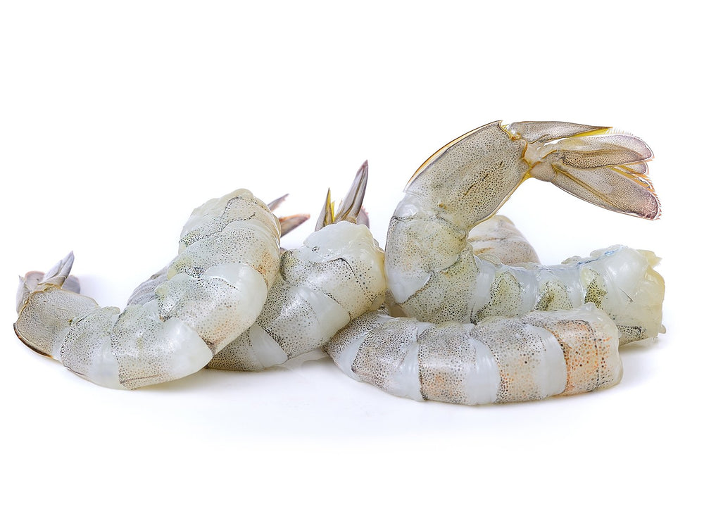 White Shrimp (XL, Shell-Off) by the pound